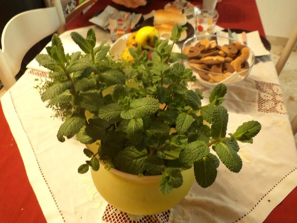Welcome Home Apartment Catania Bed & Breakfast
